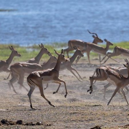 Jackalberry Chobe Hotel Kasane Bagian luar foto