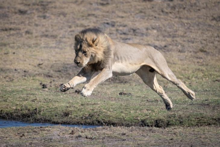 Jackalberry Chobe Hotel Kasane Bagian luar foto